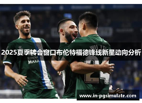 2025夏季转会窗口布伦特福德锋线新星动向分析 2025夏季转会窗口布伦特福德锋线新星动向分析